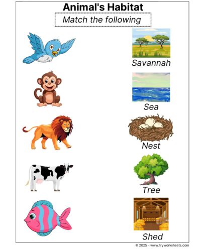 Science Grade 2 Worksheet Animal Habitat