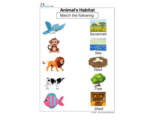 Science Grade 2 Worksheet Animal Habitat