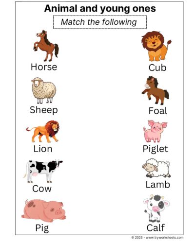 Science Grade 2 Worksheet Animals and young ones