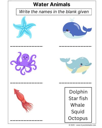 Science Grade 2 Worksheet Water Animals