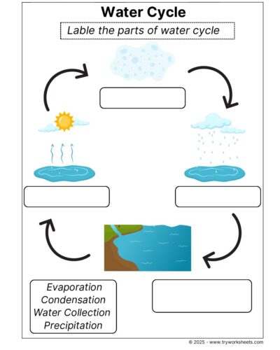 Science Grade 2 Worksheet Water cycle