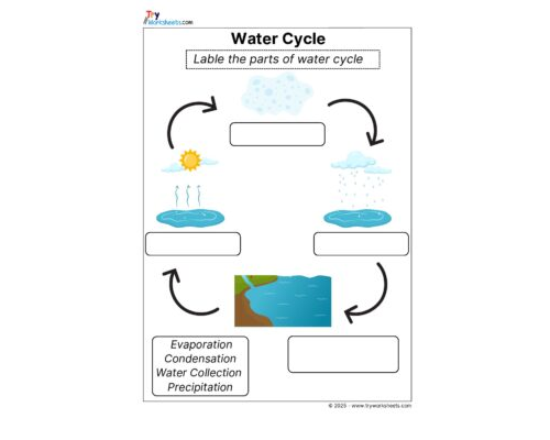 Science Grade 2 Worksheet Water cycle