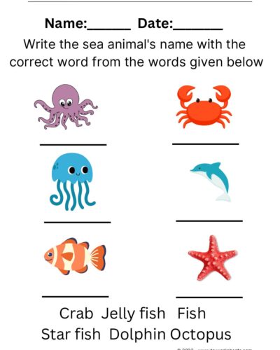 Sea Animals