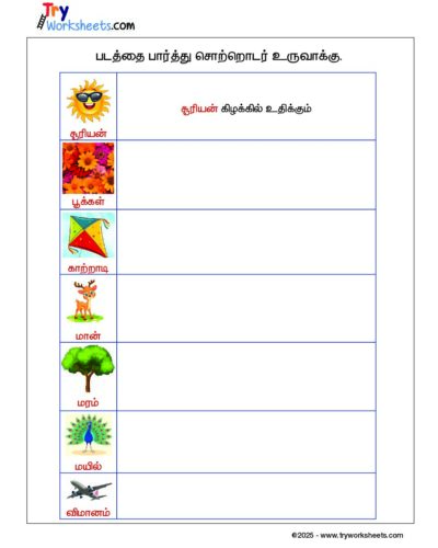 Tamil – Grade 2 Worksheet – Frame Sentence – Picture