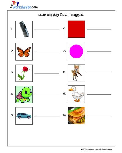 Tamil – Grade 2 Worksheet – Look at the Picture and Write the Name