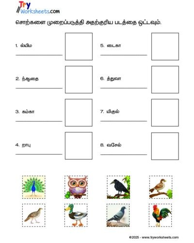 Tamil – Grade 3 – Cut and Paste Worksheet – Arrange the Bird Names and Match with the Picture