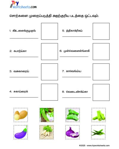 Tamil – Grade 3 – Cut and Paste Worksheet – Arrange the Vegetable Names and Match with the Picture