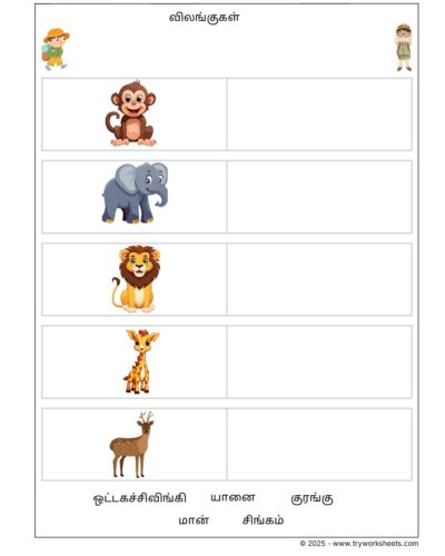 Tamil Grade 1 Animals (விலங்குகள்  )