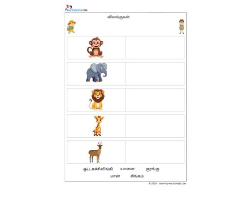 Tamil Grade 1 Animals (விலங்குகள்  )