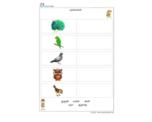 Tamil Grade 1 Birds ( பறவைகள் )