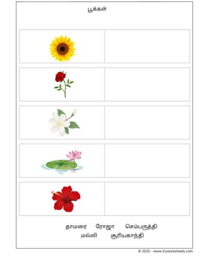 Tamil Grade 1 Flowers ( பூக்கள் )
