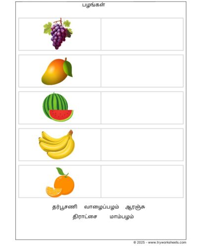 Tamil Grade 1 Fruits (பழங்கள்)