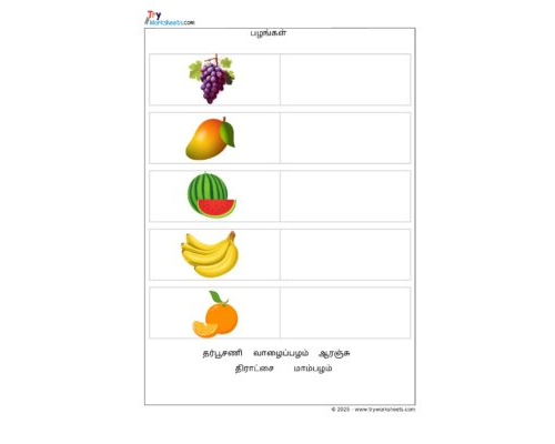 Tamil Grade 1 Fruits (பழங்கள்)