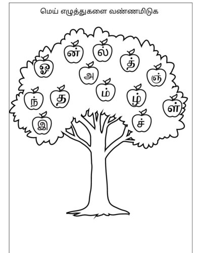 Tamil Grade 2 Mei Eluthukalai Vannamiduga