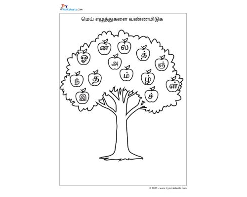 Tamil Grade 2 Mei Eluthukalai Vannamiduga
