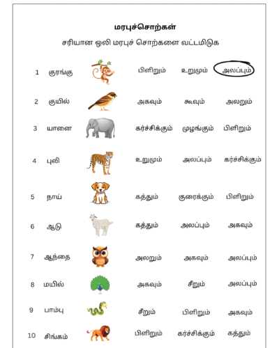 Sariyana Oli Marabu Sorkalai Vattamiduga – Tamil Worksheet for Kids