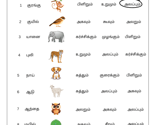 Sariyana Oli Marabu Sorkalai Vattamiduga – Tamil Worksheet for Kids