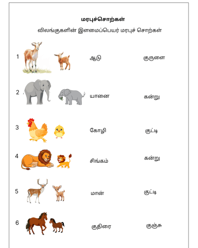 Vilangugalin Ilamaippeyar Marabu Sorkal – Tamil Worksheet for Kids