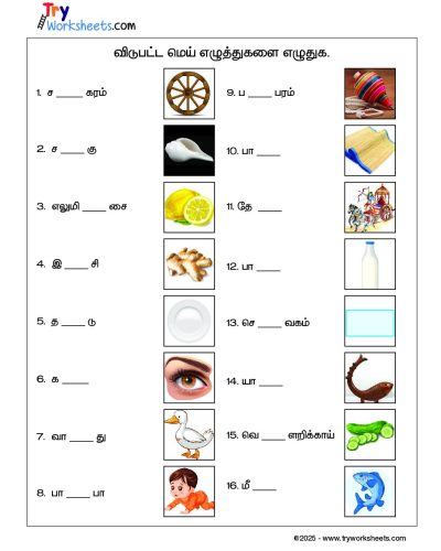 Tamil Grade 2 Missing Letters Worksheet | Mei Eluthukal Practice