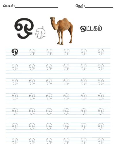 Tamil Tracing Worksheet – Letter – ஒ