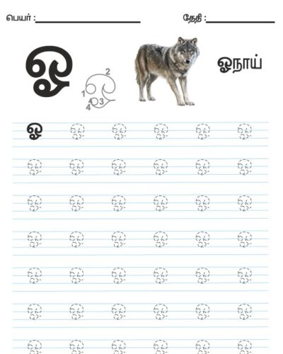 Tamil Tracing Worksheet – Letter – ஓ