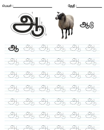 Tamil Tracing Worksheet -Letter -ஆ