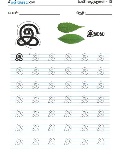 Tamil Tracing Worksheet – Letter – இ