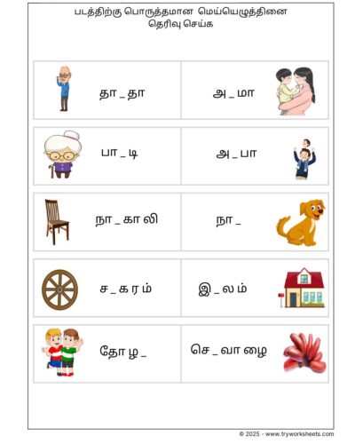 Tamil Worksheet Grade4 Mei Eluthukal(படத்திற்க்கு பொருத்தமான மெய்யெழுத்தினை தெரிவு செய்க  )