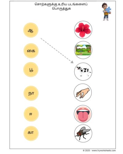 Tamil Worksheet Grade 4 Oru Eluthu Sol(சொற்களுக்குரிய படங்களைப் பொருத்துக)