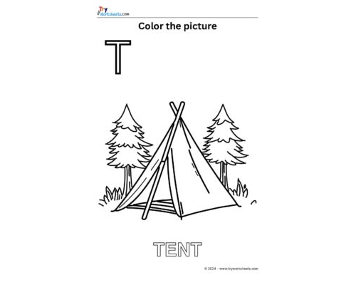 Color the Picture – T