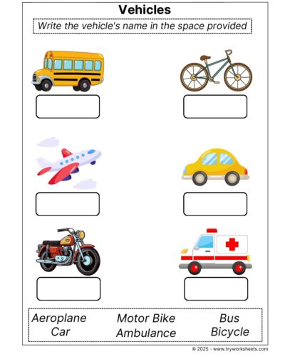 Science Grade 1 Worksheet – Vehicles