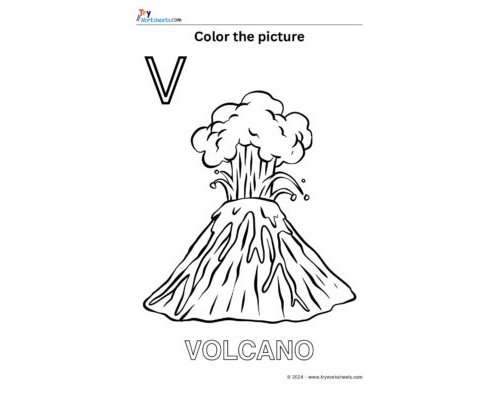 Color the Picture – V