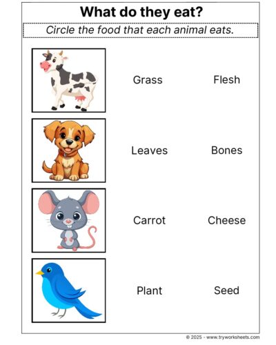 Science Grade 1 Worksheet – What do they eat?