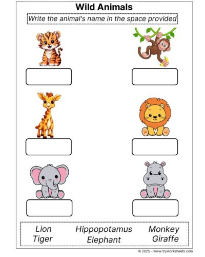 Science Grade 1 Worksheet – Wild