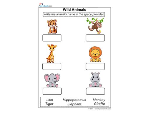 Science Grade 1 Worksheet – Wild