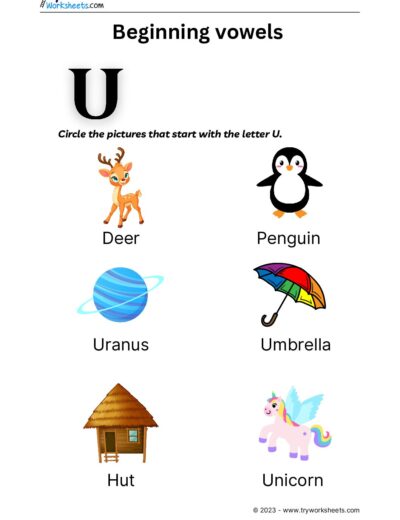 English – Grammar  – Beginning Vowels-5