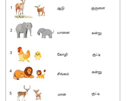 Vilangugalin Ilamaippeyar Marabu Sorkal – Tamil Worksheet for Kids
