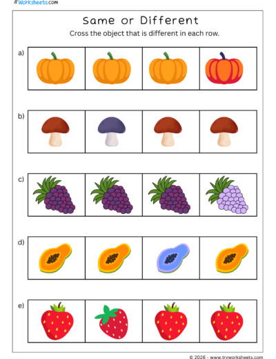 Same or Different Math Worksheets for Kids-2