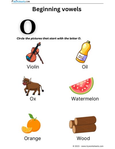 English – Grammar  – Beginning Vowels-4