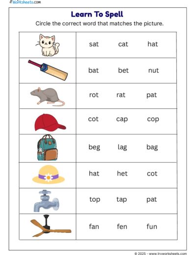 Grade 1 English Worksheet – Learn to Spell with Pictures