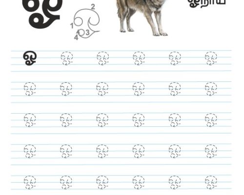 Tamil Tracing Worksheet – Letter – ஓ