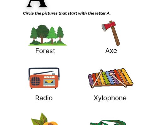 English – Grammar  – Beginning Vowels-1