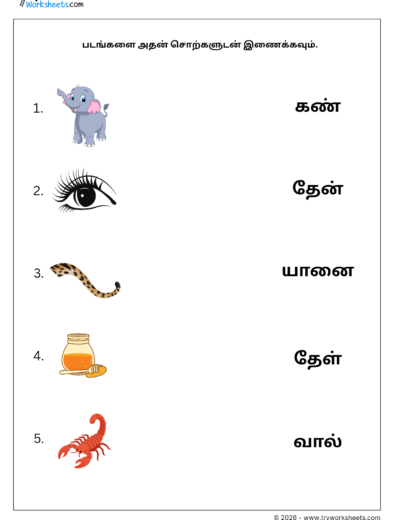 Tamil Grade 1 Worksheet – Match the Two Letter Words with Pictures | இரண்டு எழுத்து சொற்கள்