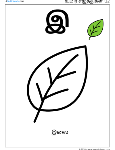 Uyir Eluthukkal Coloring Worksheet (இ) | Tamil Vowels Worksheet for Kids