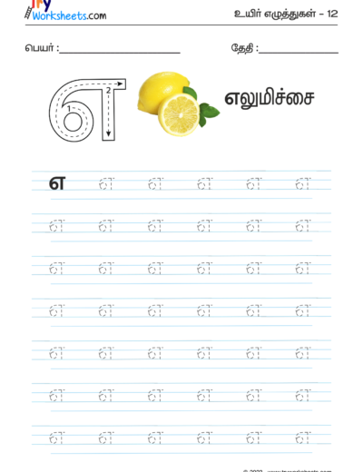 Tamil Tracing Worksheet – Letter – எ