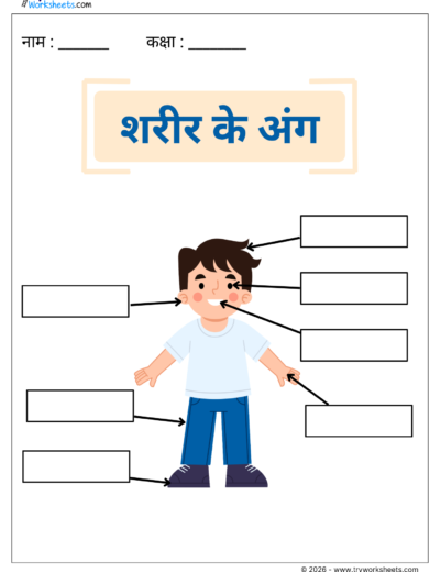 Body Parts – Hindi