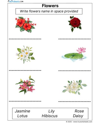 Science Grade 1 Worksheet – Flowers