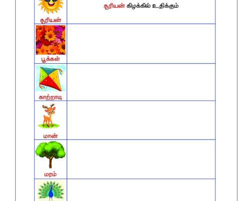 Tamil – Grade 2 Worksheet – Frame Sentence – Picture