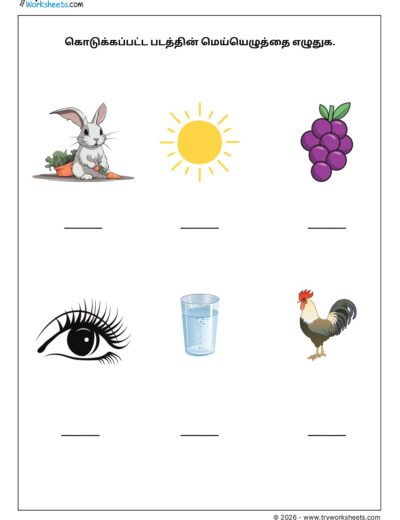 Tamil Mei Eluthukkal Worksheet – Write the Consonants of the given picture