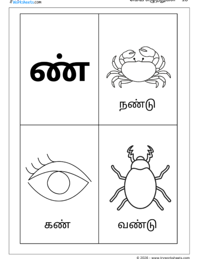 Tamil Mei Eluthukkal Coloring Worksheet – Letter ண்